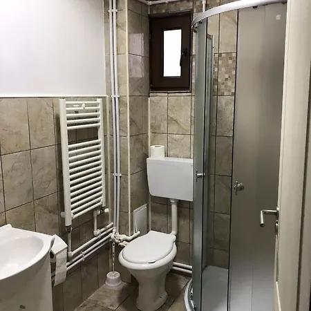 Pensiunea Pastravul De Aur Lodge