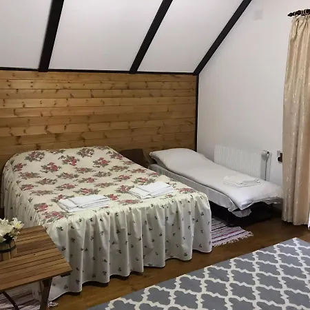 Pensiunea Pastravul De Aur Lodge