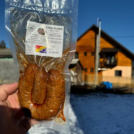 Pensiunea Pastravul De Aur