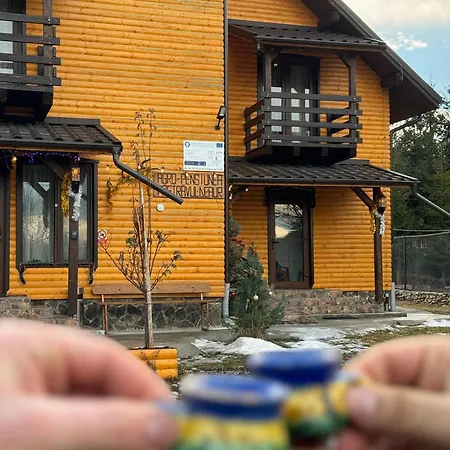 Lodge Pensiunea Pastravul De Aur *